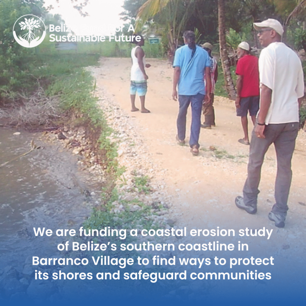 Image gallery image Image gallery image