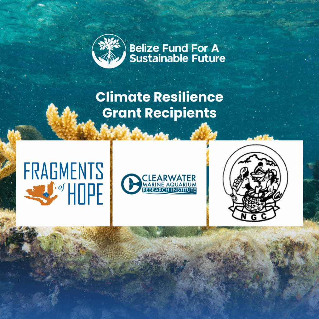 Image gallery image Image gallery image