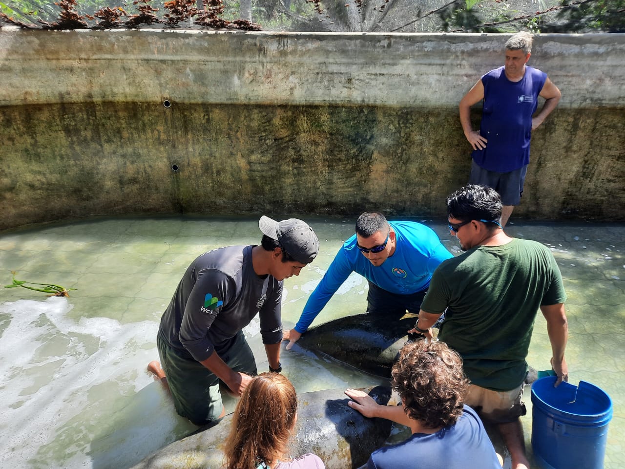 Wildtracks hosted fisheries and conservation officers for a three day course on Manatee response, rescue and rehabilitation