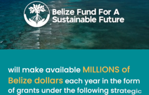 Belize Fund's Strategic Objectives