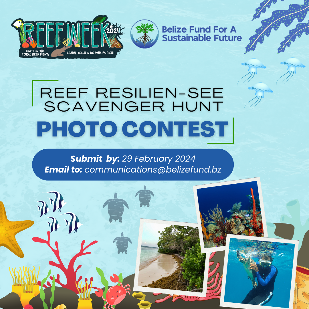 Reef Resilien-see Scavenger Hunt Photo Contest for Reef Week Belize 2024