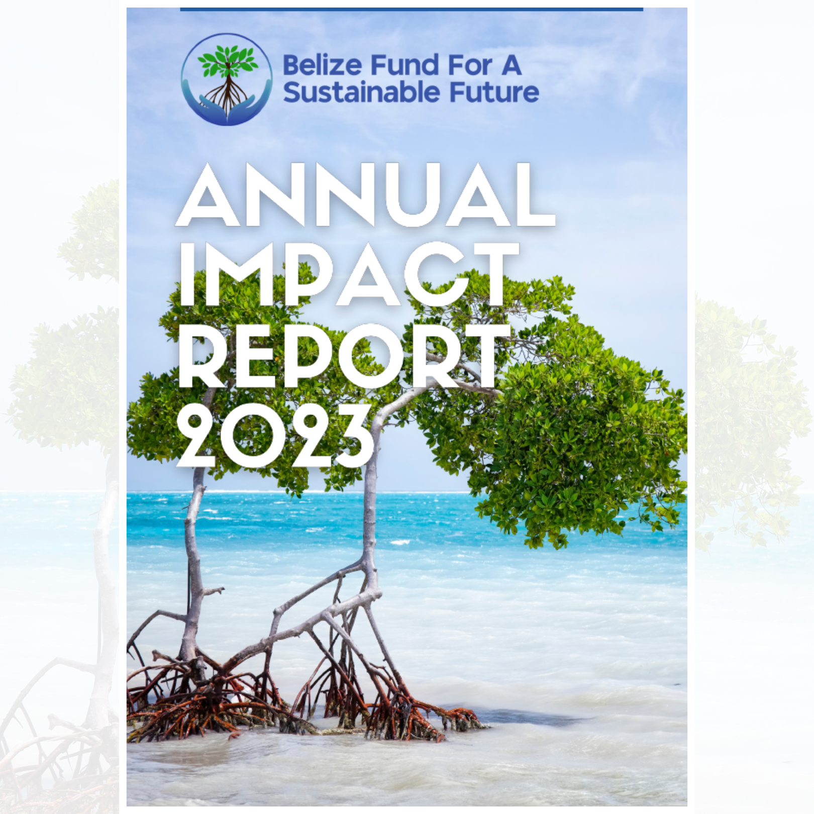 Annual Impact Report 2023