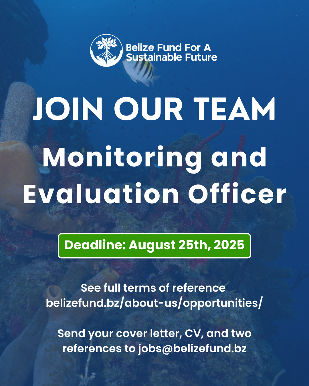 Join Our Team – Monitoring and Evaluation Officer