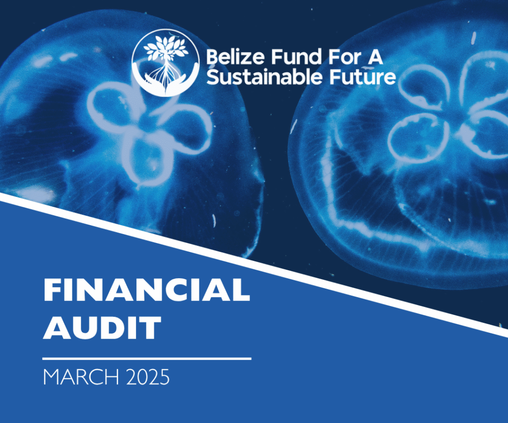 Belize Fund Financial Audit March 2025 cover image with marine conservation theme and jellyfish.