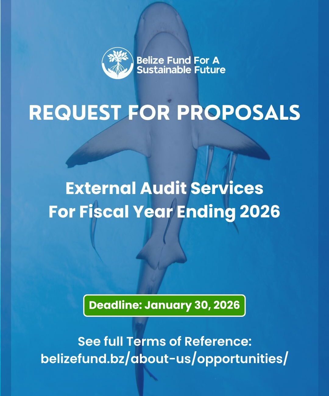 “Belize Fund for a Sustainable Future Request for Proposals graphic announcing External Audit Services for Fiscal Year Ending 2026, featuring a shark silhouette and deadline January 30, 2026.”