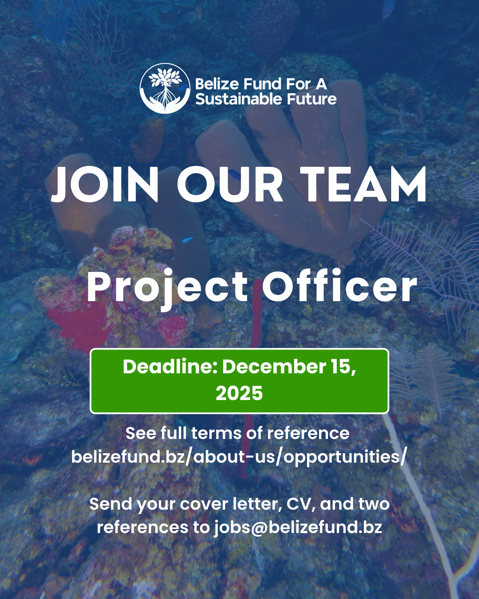 Vacancy for Project Officer