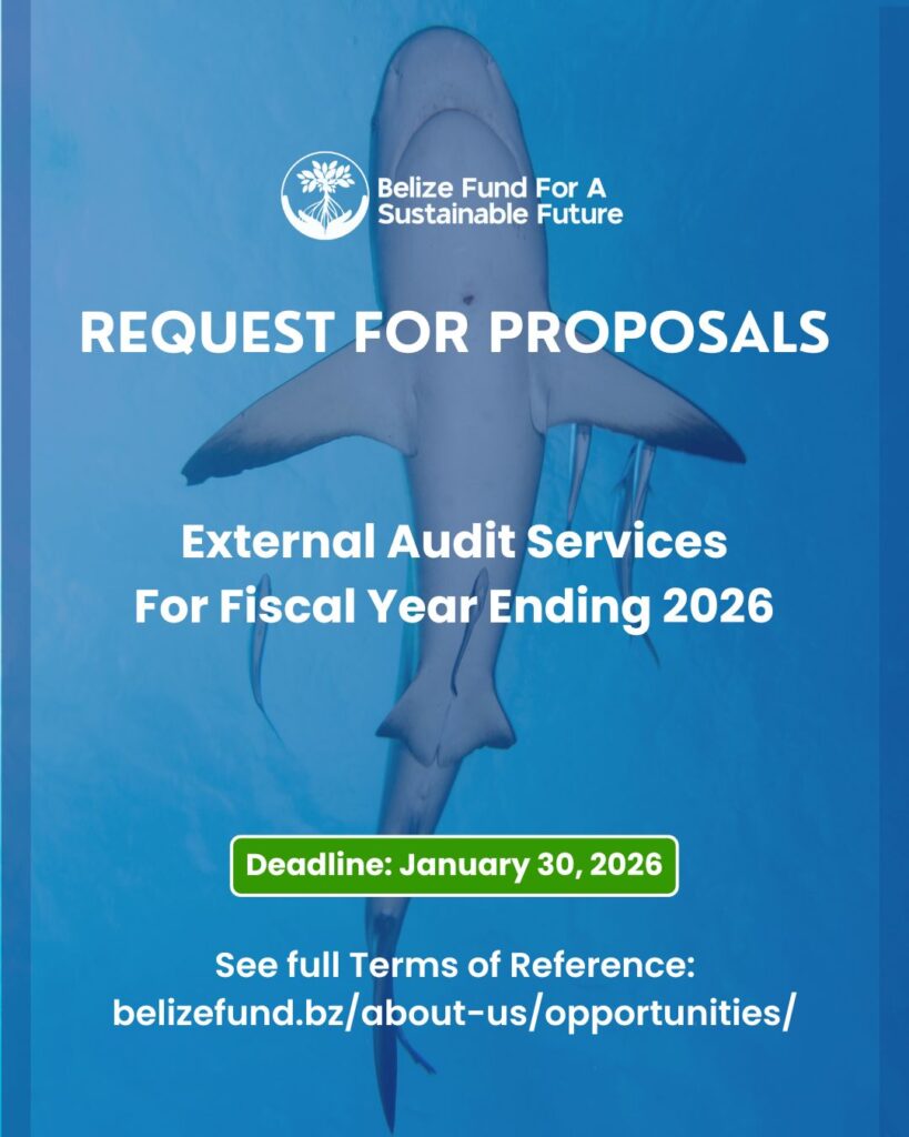 “Belize Fund for a Sustainable Future Request for Proposals graphic announcing External Audit Services for Fiscal Year Ending 2026, featuring a shark silhouette and deadline January 30, 2026.”