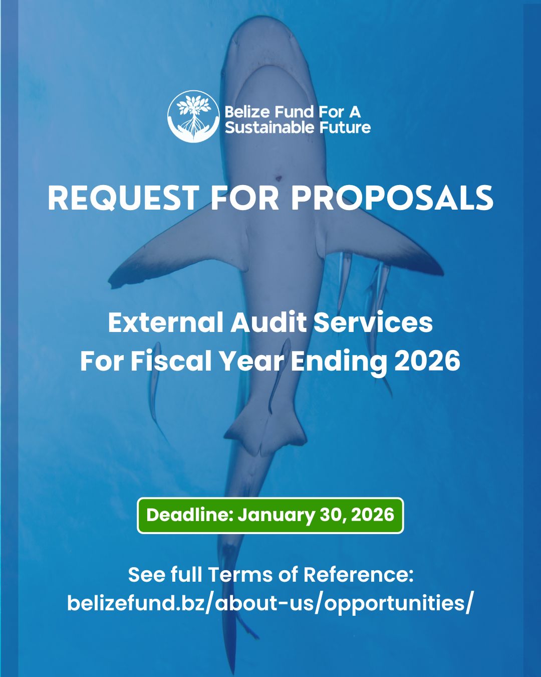 REQUEST FOR PROPOSALS