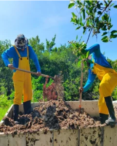 Sargassum_BelizeFund (9)