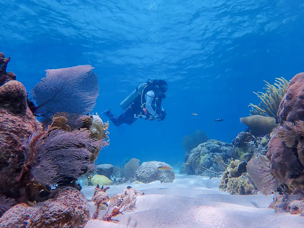 Belize-Fund-TASA-18