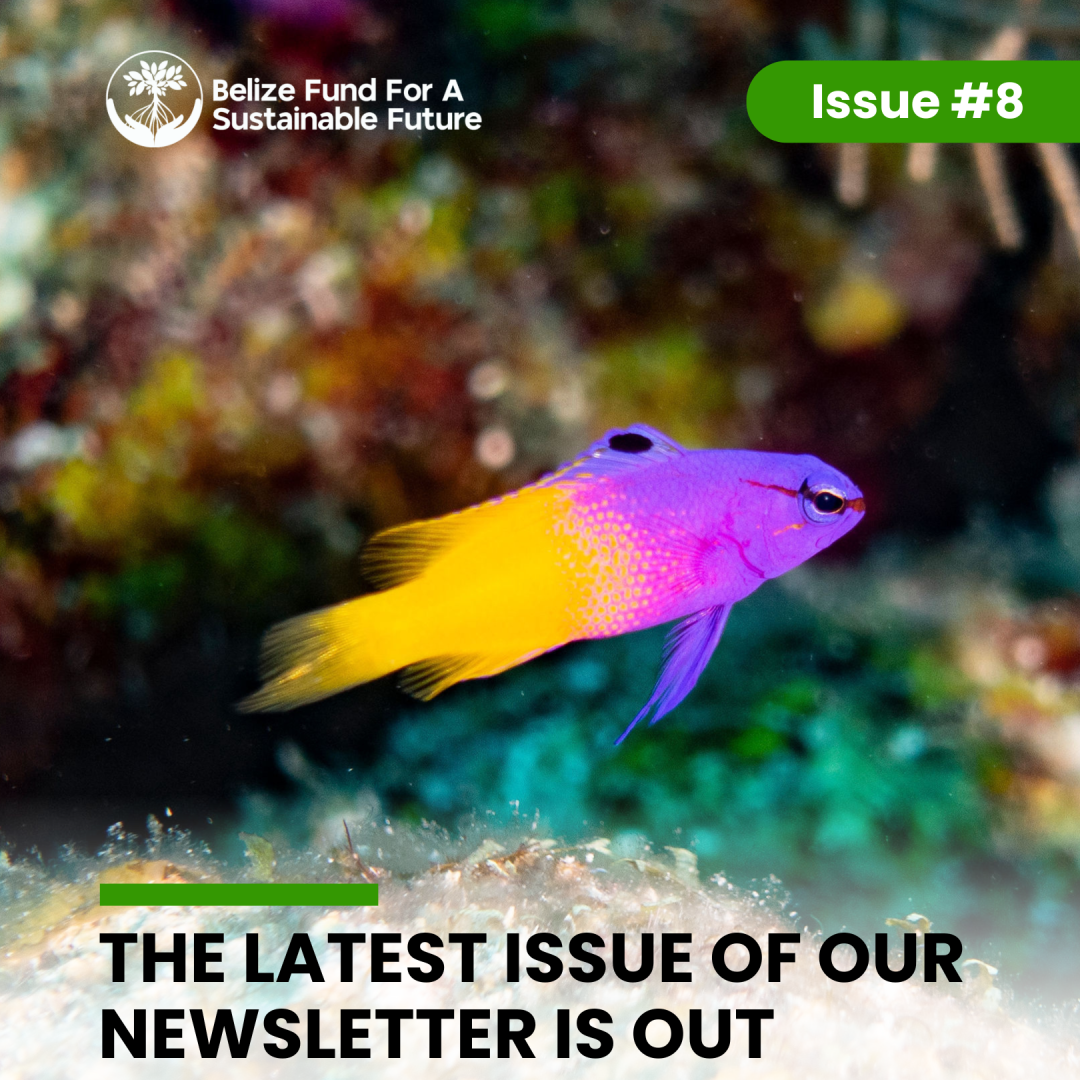 Belize-Fund-Newsletter-8.1