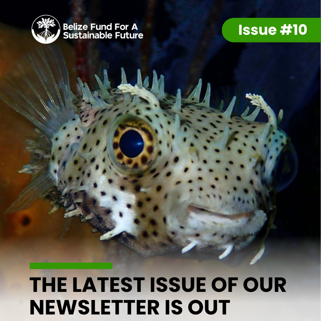 Belize Fund Newsletter Issue No. 10