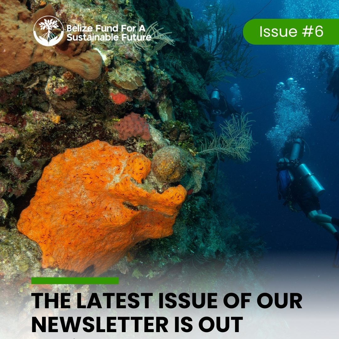 Newsletter-Issue-No.-6