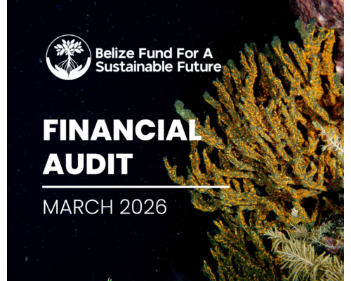 Financial Audit – March 2026