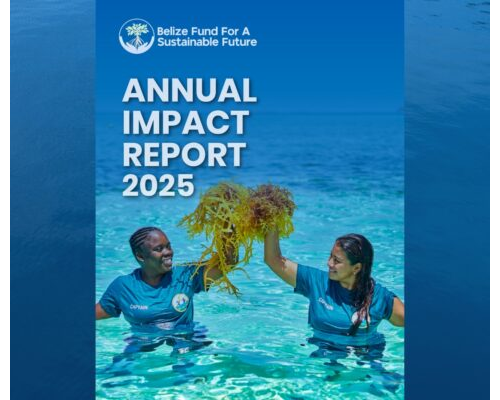 Annual Impact Report 2025