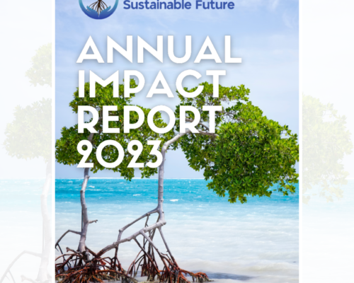Annual Impact Report 2023
