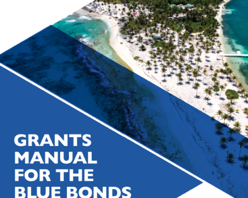 Grants Manual for the Blue Bonds Program