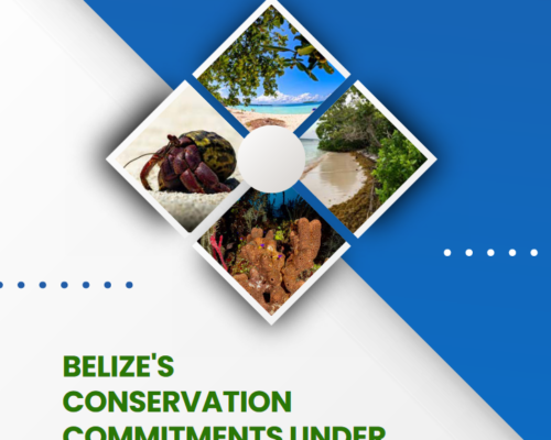 Belize’s Conservation Commitments Under the Blue Loan Agreement