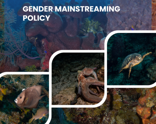Gender Mainstreaming Policy