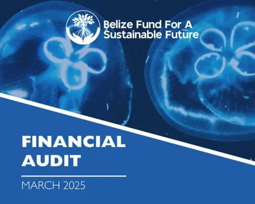 Financial Audit – March 2025