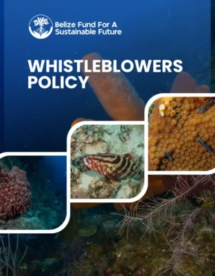 Whistle Blowers Policy