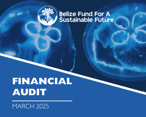 Belize Fund Financial Audit March 2025 cover image with marine conservation theme and jellyfish.